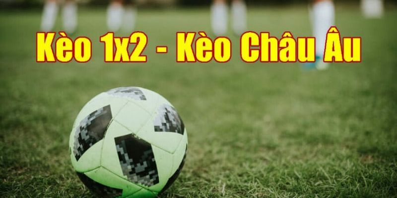 Những nghiệm đọc kèo Châu Âu hiệu quả